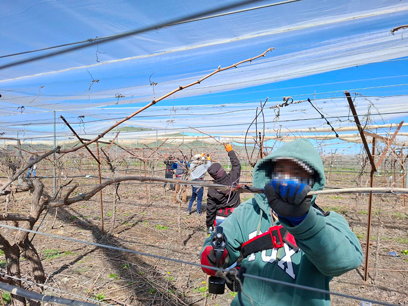 แรงงานไทย