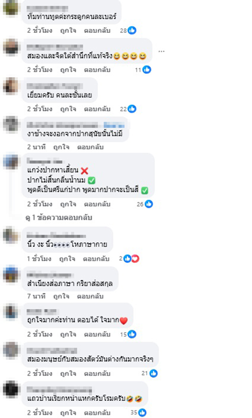 น็อต วรฤทธิ์ จวก