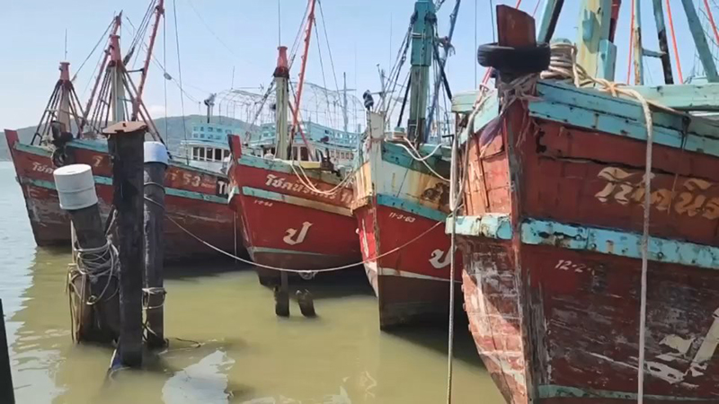 ประมงไทย