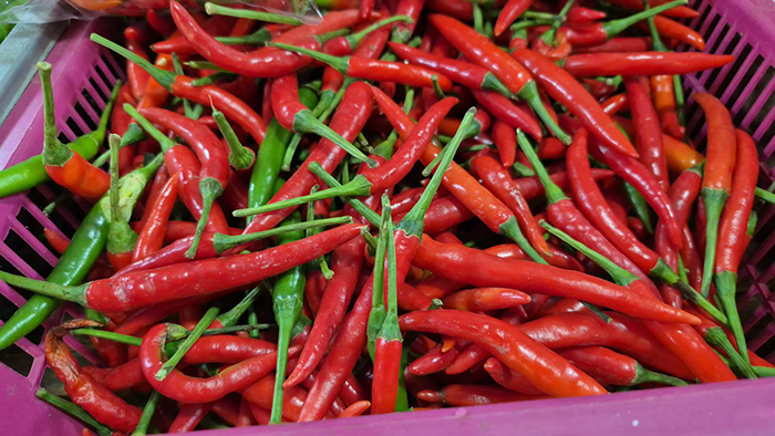 พริกสดแพง