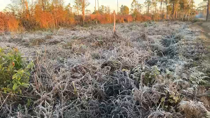 เลย แม่คะนิ่ง ภูกระดึง