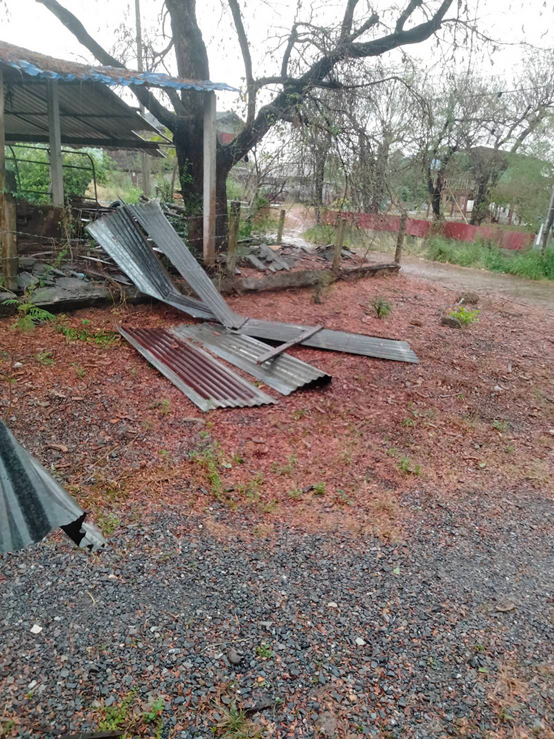 ลูกเห็บ