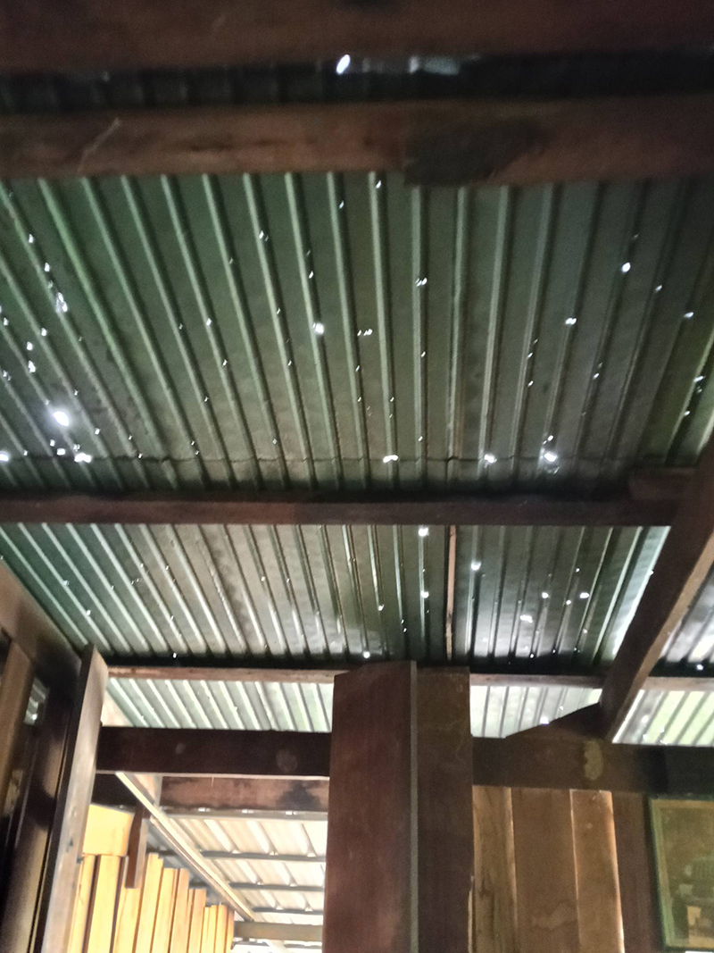 ลูกเห็บ