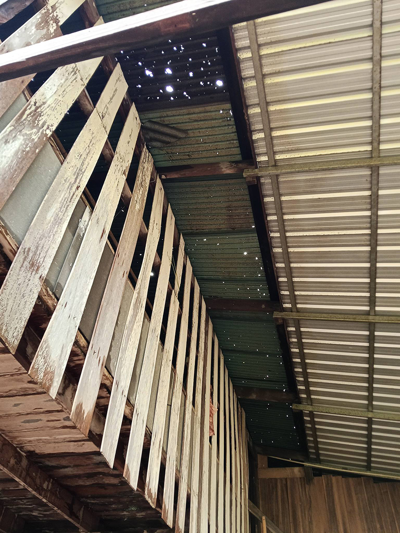 ลูกเห็บ