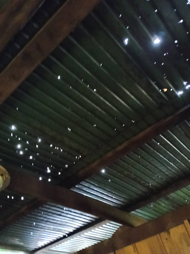 ลูกเห็บ