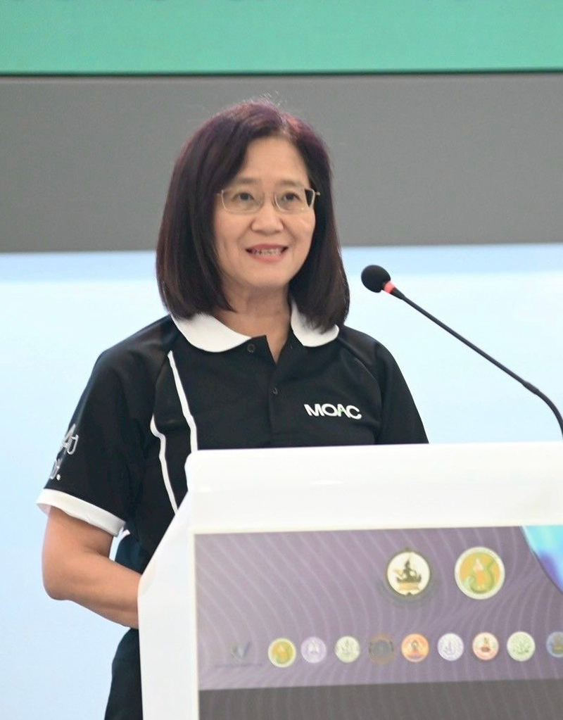 อัญชลี สุวจิตตานนท์