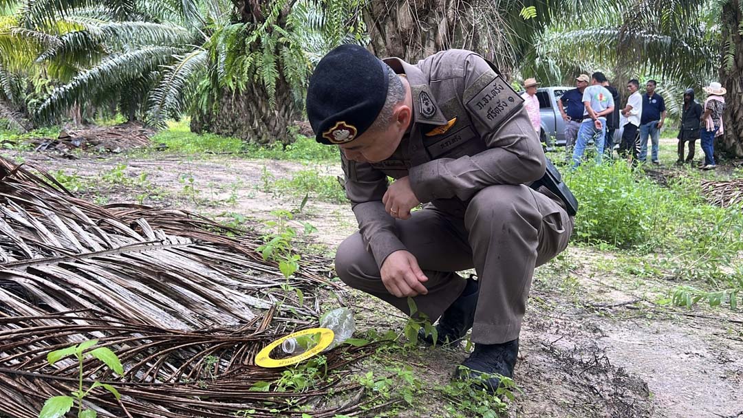 Police pursue leads in Trang oil palm plantation triple murder | News by Thaiger