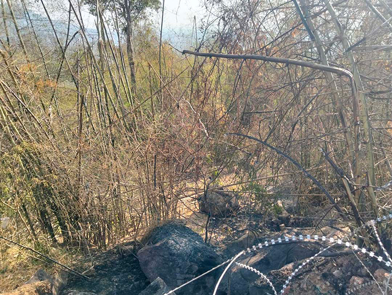 กองทัพบก