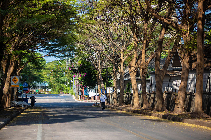 ซอยนาเกลือ