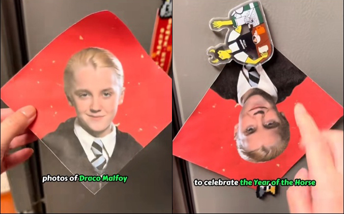 ชาวเน็ตจีนแห่บูชา มัลฟอย 