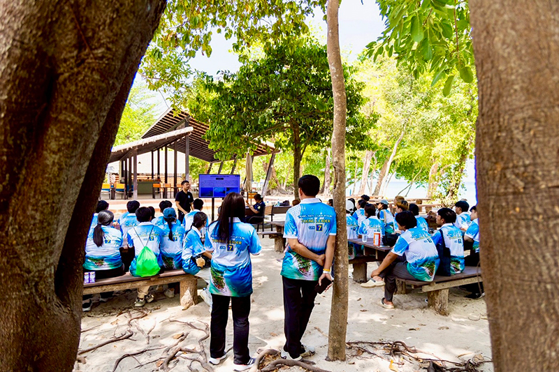 วาฬบรูด้า