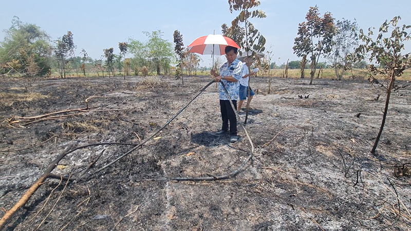 เผาฟางลามไหม้สวน