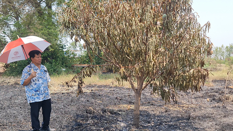 เผาฟางลามไหม้สวน