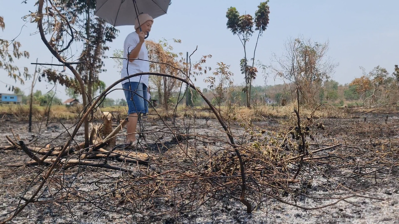 เผาฟางลามไหม้สวน