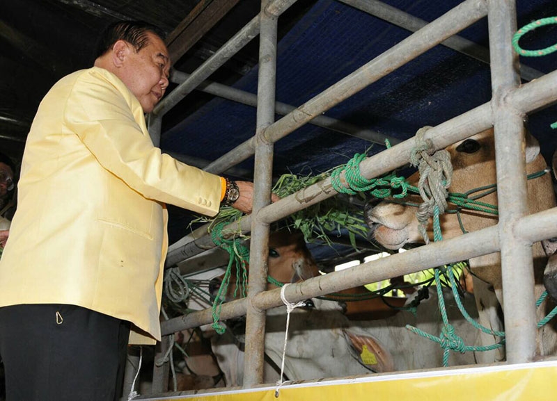 พล.อ.ประวิตร วงษ์สุวรรณ ประธานในพิธีเปิดโครงการไถ่ชีวิตโค-กระบือ 79 ตัว