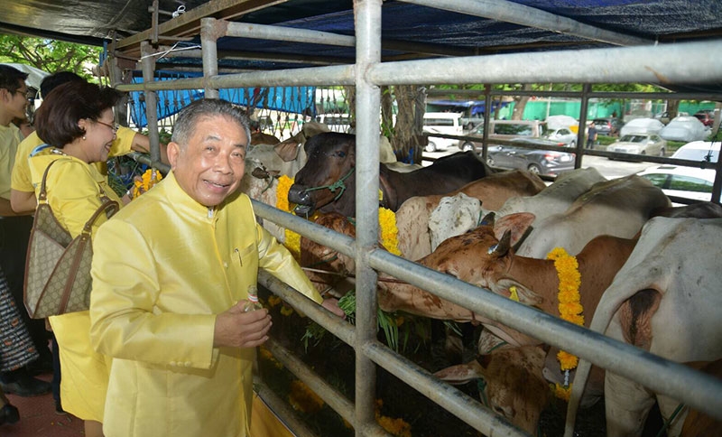 ศรีศักดิ์ ว่องส่งสาร ร่วมไถ่ชีวิตโค-กระบือ