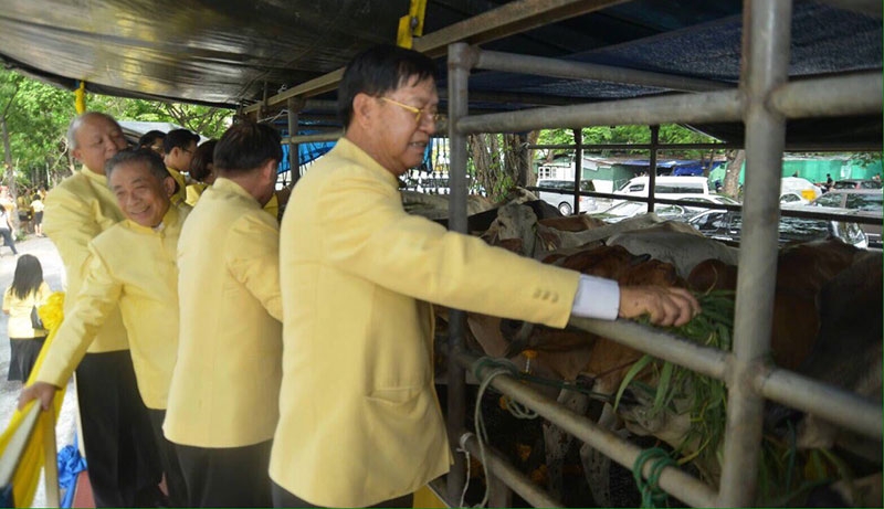 คณะกรรมการโครงการไถ่ชีวิตโค-กระบือ ร่วมโครงการไถ่ชีวิตโค-กระบือ และร่วมให้อาหารโค-กระบือ