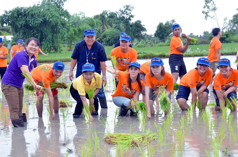 เรียนรู้วิถีพอเพียง : จ๊ะจ๋า พริมรตา เดชอุดม นักแสดงชื่อดัง ร่วมกิจกรรมของการไฟฟ้าฝ่ายผลิตแห่งประเทศไทย (กฟผ.) ตามโครงการ กฟผ.เพาะเมล็ดพันธุ์จิตอาสาพัฒนาสังคม รุ่น 8 (EGAT CSR CAMP 8) โดยทดลองดำนาในแปลงนาข้าวไรซ์เบอรี่ ในกิจกรรม “อยู่อย่างพอเพียง วิธีเพียงพอ” โดยมีผู้แทน กฟผ. และผู้แทนนิสิตนักศึกษาทั่วประเทศเข้าร่วม ณ ศูนย์เรียนรู้เศรษฐกิจพอเพียงชุมชนบ้านห้วยแดง อ.พิบูลมังสาหาร จ.อุบลราชธานี