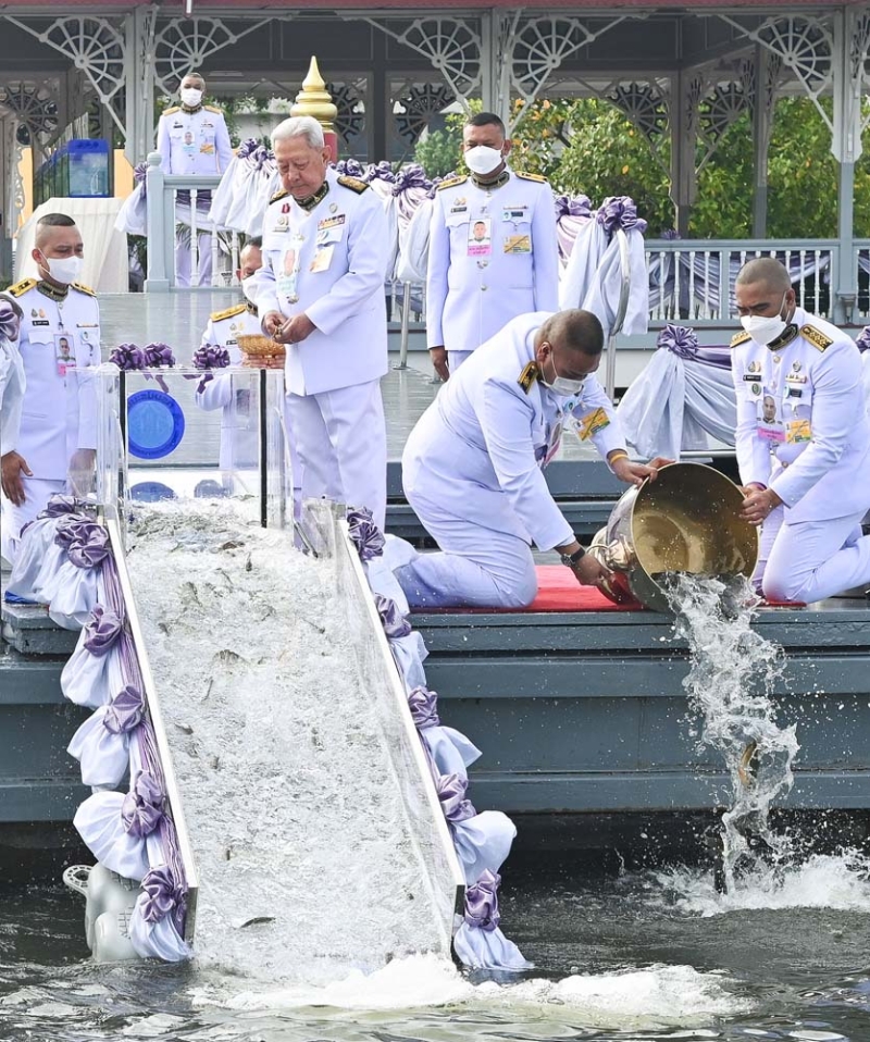 พระบาทสมเด็จพระเจ้าอยู่หัว ทรงพระกรุณาโปรดเกล้าโปรดกระหม่อมให้ พล.อ.สุรยุทธ์ จุลานนท์ ประธาน
องคมนตรี เป็นผู้แทนพระองค์ ไปในการบำเพ็ญพระราชกุศลปล่อยโค 1 คู่, นกปรอดหัวโขน 46 ตัว เต่า
และพันธุ์ปลาน้ำจืด 1,000,000 ตัว เนื่องในโอกาสวันเฉลิมพระชนมพรรษา สมเด็จพระนางเจ้าฯ พระบรมราชินี ณ ท่าวาสุกรี เขตดุสิต กรุงเทพมหานคร เมื่อวันจันทร์ที่ 3 มิถุนายน 2567 เวลา 07.53 น.

