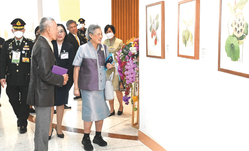 สมเด็จพระกนิษฐาธิราชเจ้า กรมสมเด็จพระเทพรัตนราชสุดาฯ สยามบรมราชกุมารี เสด็จพระราชดำเนินไปทรงเปิดนิทรรศการภาพวาดพฤกษศาสตร์นานาชาติ ครั้งที่ 2 จัดโดย มหาวิทยาลัยมหิดล, สมาคมพฤกษศาสตร์ในพระบรมราชินูปถัมภ์, โครงการอนุรักษ์พันธุกรรมพืชอันเนื่องมาจากพระราชดำริฯ (อพ.สธ.) และหน่วยงานที่เกี่ยวข้อง ในหัวข้อ “มรดกพืชพรรณธัญญาหารของชาวสุวรรณภูมิ” ณ หอศิลปวัฒนธรรมแห่งกรุงเทพมหานคร เมื่อวันพุธที่ 7 พฤษภาคม 2568 เวลา 15.05 น.