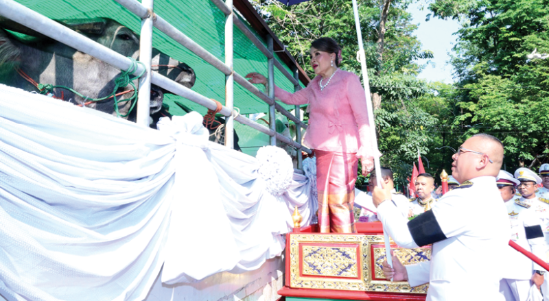 ทูลกระหม่อมหญิงอุบลรัตนราชกัญญา สิริวัฒนาพรรณวดี เสด็จไปทรงบำเพ็ญพระกุศลเนื่องในโอกาสวันคล้าย
วันประสูติ ณ อาคารทรงงาน กรมสุขภาพจิต กระทรวงสาธาธารณสุข จังหวัดนนทบุรี และทรงไถ่ชีวิตโค
1 คู่ กระบือ 3 คู่ ทรงปล่อยพันธุ์ปลาไทย 9 ชนิด จำนวน 490,000 ตัว และปล่อยนกเขาชวา จำนวน
76 ตัว ณ วัดเฉลิมพระเกียรติ อำเภอเมืองนนทบุรี จังหวัดนนทบุรี เมื่อวันอาทิตย์ที่ 5 เมษายน 2569 เวลา 07.43 น.