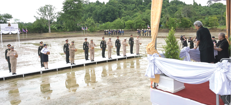 สมเด็จพระกนิษฐาธิราชเจ้า กรมสมเด็จพระเทพรัตนราชสุดาฯ สยามบรมราชกุมารี เสด็จพระราชดำเนินไปทรงติดตามการดำเนินงานของหน่วยงานต่างๆ ที่ร่วมสนอง
พระราชดำริพัฒนาด้านการเกษตรในพื้นที่จังหวัดนครนายก อาทิ ศูนย์วิจัยข้าวปทุมธานี ดำเนินโครงการพัฒนาพื้นที่ว่างเปล่าปลูกข้าวพันธุ์ กข 99 วิธีหว่านน้ำตม
เก็บเกี่ยวผลผลิตได้ 4,040 กิโลกรัม มอบให้โรงเรียนนายร้อยพระจุลจอมเกล้า สำนักงานเกษตรจังหวัดนครนายก และศูนย์เมล็ดพันธุ์ข้าวนครนายก ทั้งยังปลูกข้าวโพด น้อมเกล้าน้อมกระหม่อมถวาย 306 ฝัก ณ แปลงสาธิตการเกษตรที่ 5 โรงเรียนนายร้อยพระจุลจอมเกล้า จังหวัดนครนายก เมื่อวันพุธที่ 15 กรกฎาคม 2569