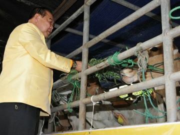 พล.อ.ประวิตร วงษ์สุวรรณ ประธานในพิธีเปิดโครงการไถ่ชีวิตโค-กระบือ 79 ตัว