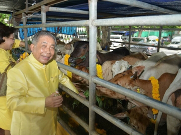 ศรีศักดิ์ ว่องส่งสาร ร่วมไถ่ชีวิตโค-กระบือ