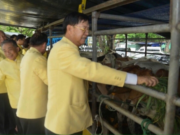 คณะกรรมการโครงการไถ่ชีวิตโค-กระบือ ร่วมโครงการไถ่ชีวิตโค-กระบือ และร่วมให้อาหารโค-กระบือ
