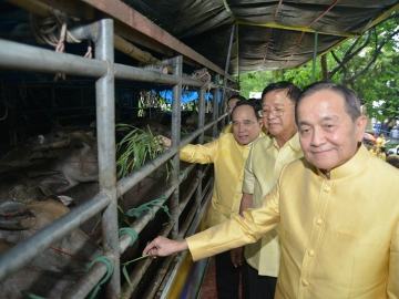 พล.อ.อ.ธเรศปุณศรี พร้อมด้วย พล.ร.อ.ศิษฐวัชร วงษ์สุวรรณ ประธานคณะกรรมการโครงการไถ่ชีวิตโค-กระบือ และพล.ต.อ.พิชิต ควรเดชะคุปต์ ร่วมพิธีไถ่ชีวิตโค-กระบือ