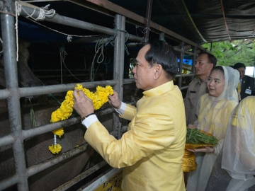 พล.ต.อ.พิชิต ควรเดชะคุปต์ ร่วมพิธีไถ่ชีวิตโค-กระบือ