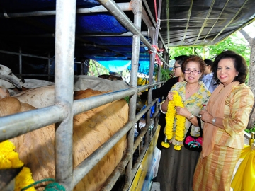 อุไร คุณานันทกุล กับ สุวิมล ภูมิสิงหราช