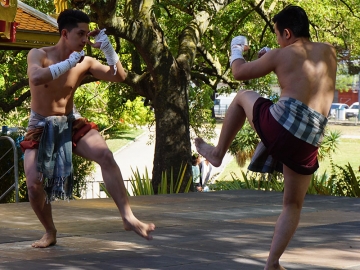 โชว์มวยไทย