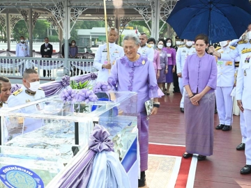 สมเด็จพระกนิษฐา
ธิราชเจ้า กรมสมเด็จ
พระเทพรัตนราชสุดาฯ สยามบรมราชกุมารี เสด็จพระราชดำเนินไปทรงปล่อยโค 1 คู่ และพันธุ์ปลาน้ำจืด 9 ชนิด อาทิ ปลาตะเพียนขาว ปลาตะเพียนทอง รวม 590,000 ตัว เนื่องในโอกาสวันคล้ายวันพระราชสมภพ ณ
ท่าวาสุกรี เมื่อวันพุธ
ที่ 2 เมษายน 2568 เวลา 08.08 น.

