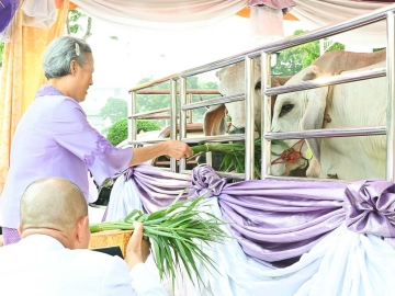 สมเด็จพระกนิษฐา
ธิราชเจ้า กรมสมเด็จ
พระเทพรัตนราชสุดาฯ สยามบรมราชกุมารี เสด็จพระราชดำเนินไปทรงปล่อยโค 1 คู่ และพันธุ์ปลาน้ำจืด 9 ชนิด อาทิ ปลาตะเพียนขาว ปลาตะเพียนทอง รวม 590,000 ตัว เนื่องในโอกาสวันคล้ายวันพระราชสมภพ ณ
ท่าวาสุกรี เมื่อวันพุธ
ที่ 2 เมษายน 2568 เวลา 08.08 น.

