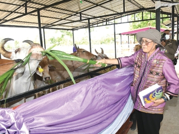สมเด็จพระกนิษฐา
ธิราชเจ้า กรมสมเด็จ
พระเทพรัตนราชสุดาฯ สยามบรมราชกุมารี เสด็จพระราชดำเนินไปทรงเปิดศูนย์ผลิตพันธุ์สัตว์ปีก
พระราชทาน “เพื่อนช่วยเพื่อน” ภาคตะวันตก และทอดพระเนตรโครงการทหารพันธุ์ดี กรมการทหารช่าง ค่าย
บุรฉัตร อำเภอเมือง
จังหวัดราชบุรี เมื่อวันศุกร์ที่ 4 กรกฎาคม 2568