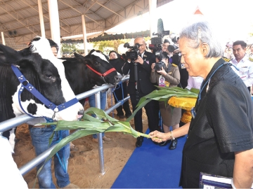 สมเด็จพระกนิษฐาธิราชเจ้า กรมสมเด็จพระเทพรัตนราชสุดาฯ สยามบรมราชกุมารี เสด็จพระราชดำเนินไป
ทรงเปิดงาน “เทศกาลโคนมแห่งชาติ” ประจำปี 2569 และครบรอบปีที่ 64 แห่งการก่อตั้งฟาร์มโคนมไทย-เดนมาร์ค
ภายใต้แนวคิด “โคนมไทย จากวิกฤตสู่โอกาส Dairy Thailand From Crisis To Opportunity” ณ องค์การส่งเสริม
กิจการโคนมแห่งประเทศไทย อำเภอมวกเหล็ก จังหวัดสระบุรี เมื่อวันศุกร์ที่ 23 มกราคม 2569 เวลา 08.56 น.