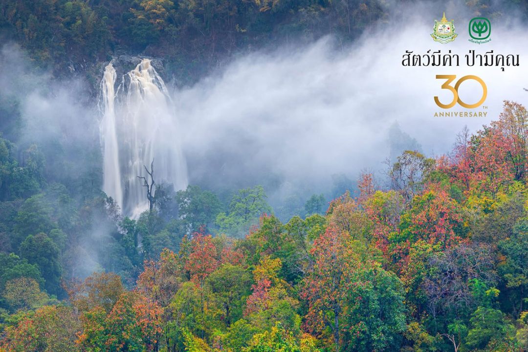 “Colorful Khlong Lan” โดย จามิกร สุขทรามร

