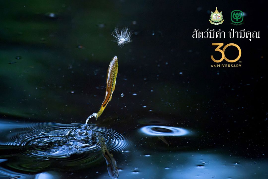 “ฤาน้ำท่วมฟ้า ปลาจะกินดาว” โดย บำเพ็ญ ชำนิบรรณการ

