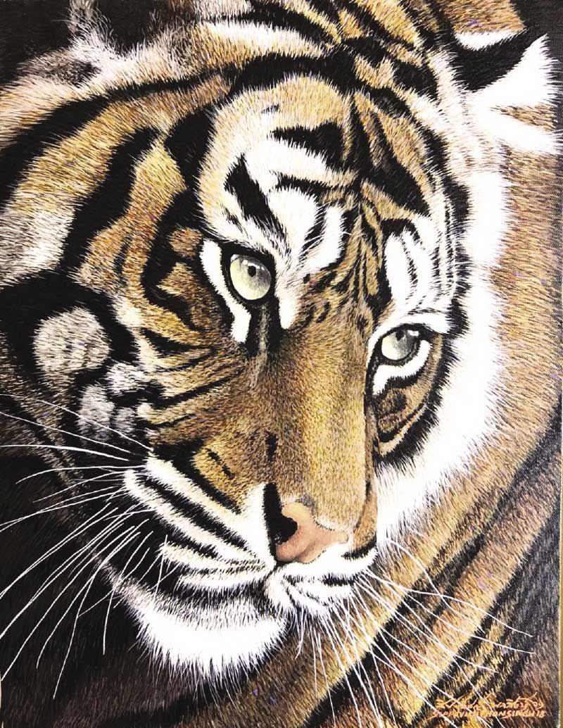 ผลงาน สิปปวิชญ์ พลสิงห์