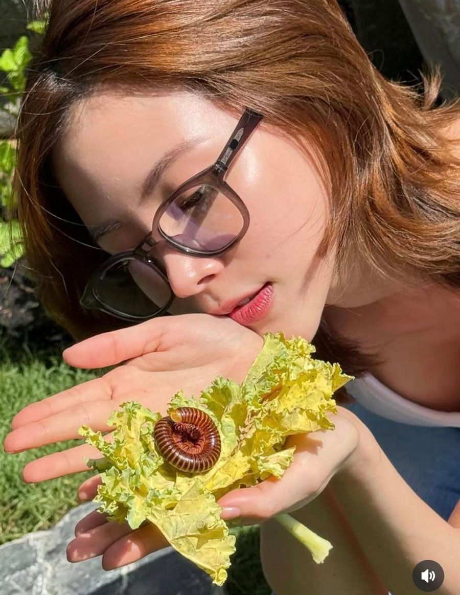 IG : baifernbah