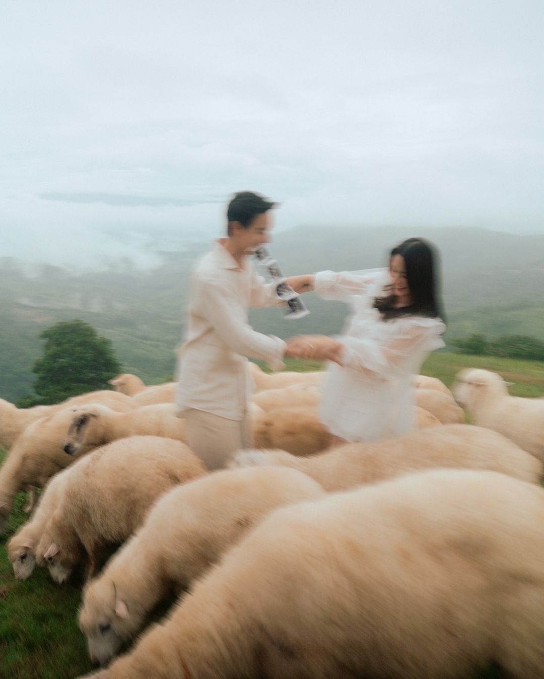 ขอบคุณภาพจากเฟซบุ๊ก James Jirayu Tangsrisuk