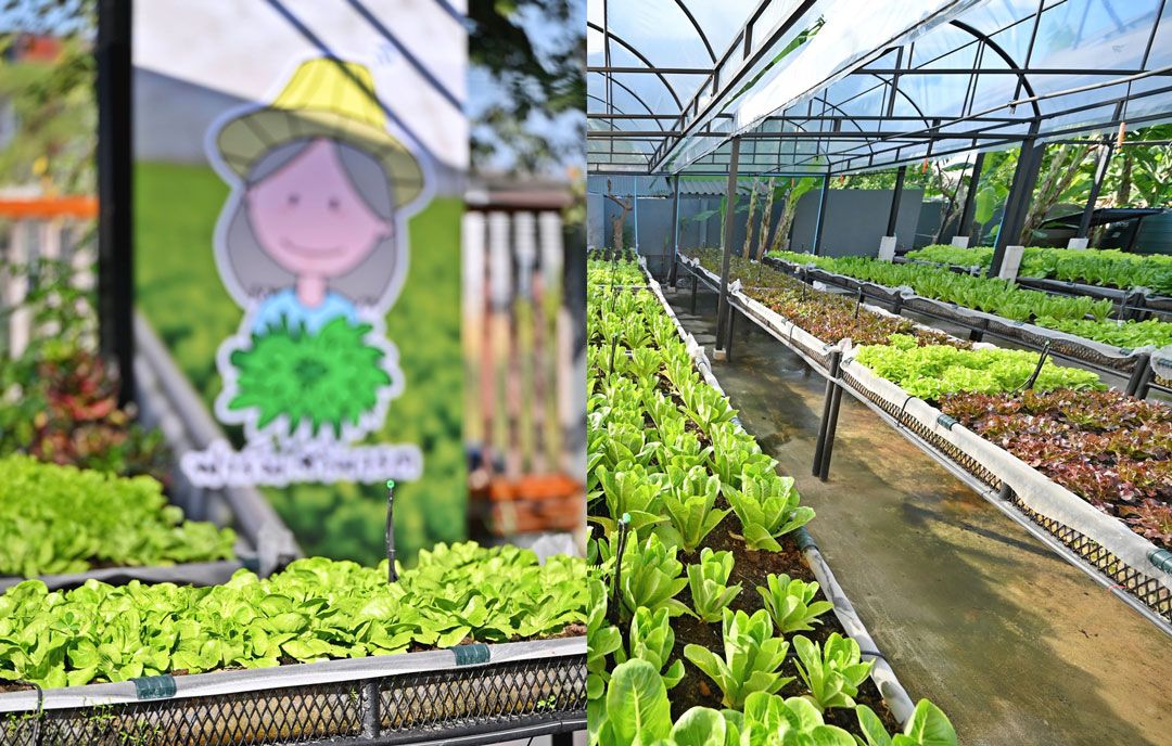 โครงการ “ฟาร์มสามารถ”