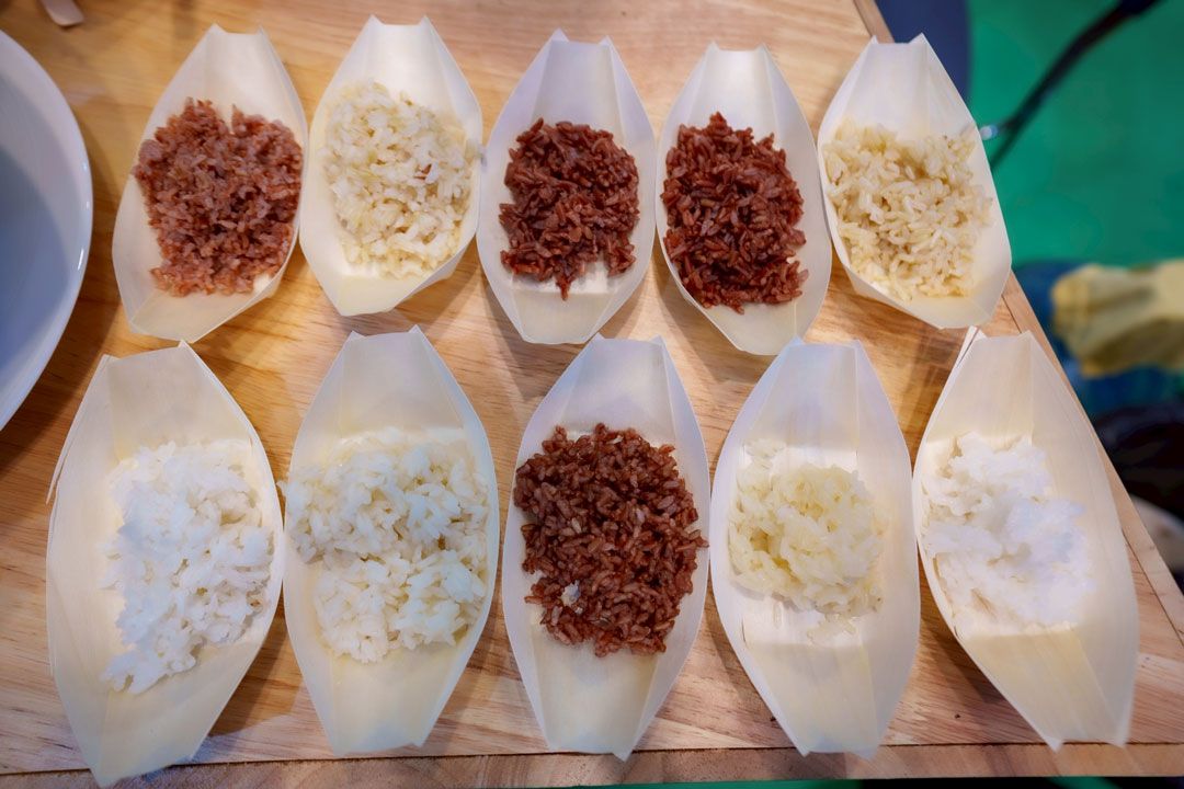 ข้าวทั้ง 10 สายพันธุ์ 7 จังหวัด 8 ชุมชน