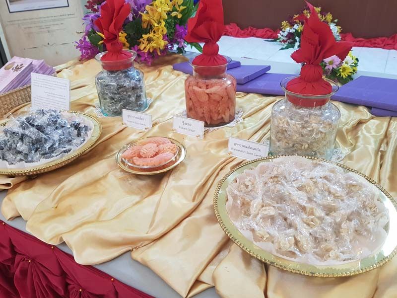 ขนมไทยที่นำไปแสดง