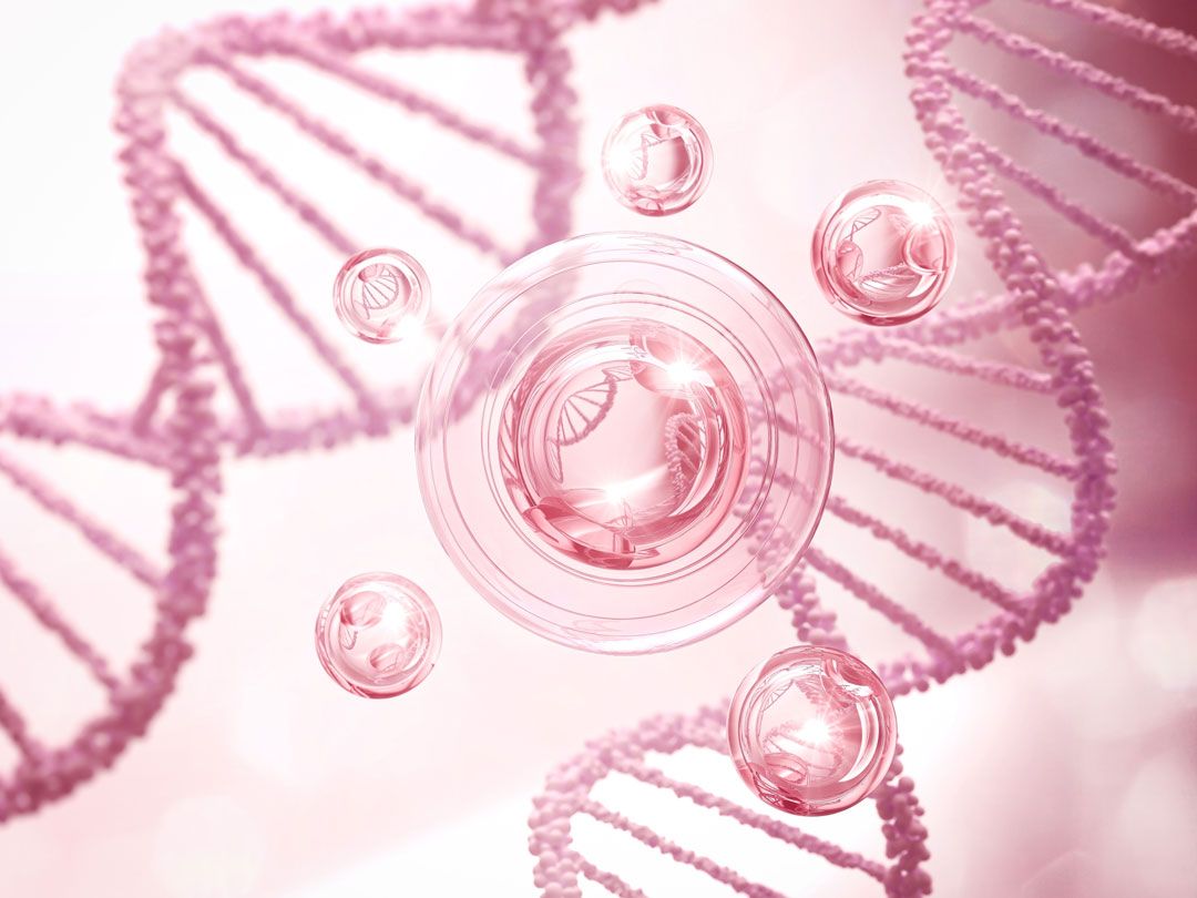 Rose PDRN DNA Technology เสริมการฟื้นฟูและต้านความร่วงโรย