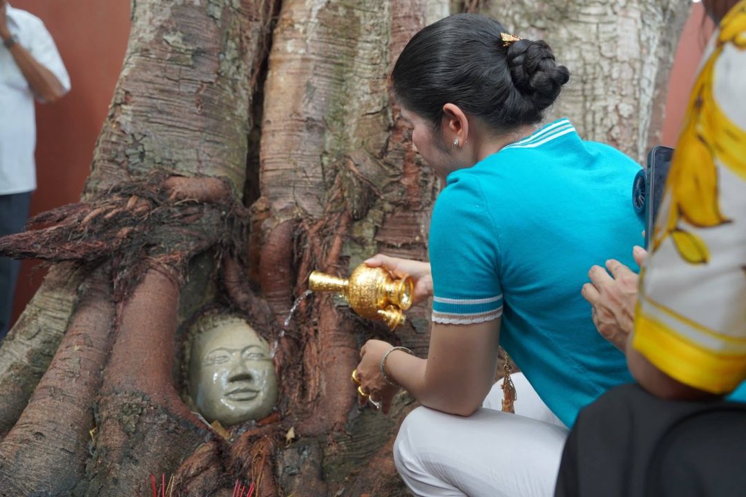 ภาพจากกัมพูชา : วัดในเขมรทำเศียรพระในรากไม้ เลียนแบบอยุธยาเป๊ะ