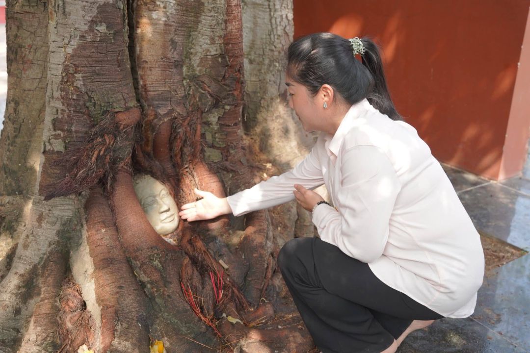 ภาพจากกัมพูชา : วัดในเขมรทำเศียรพระในรากไม้ เลียนแบบอยุธยาเป๊ะ