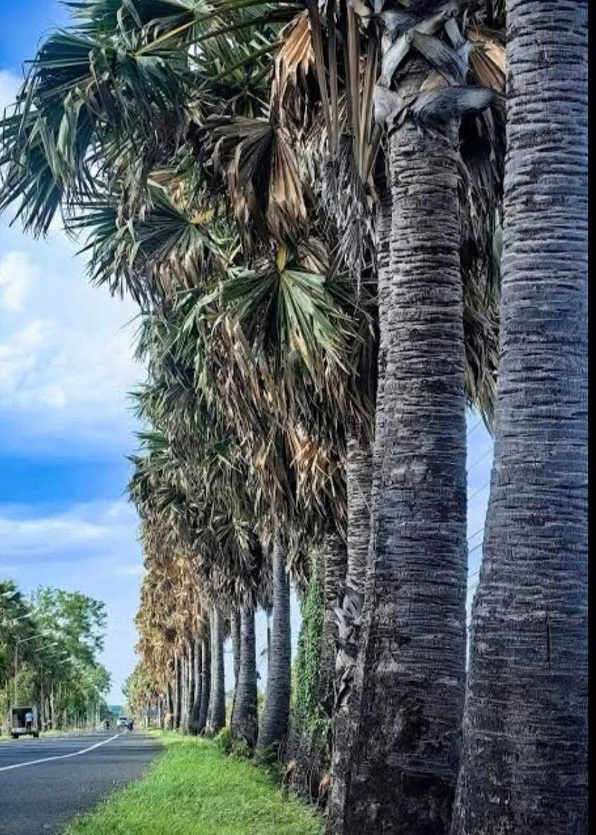 ขอบคุณข้อมูลจากเฟซบุ๊ก : วันชัย ตันติวิทยาพิทักษ์