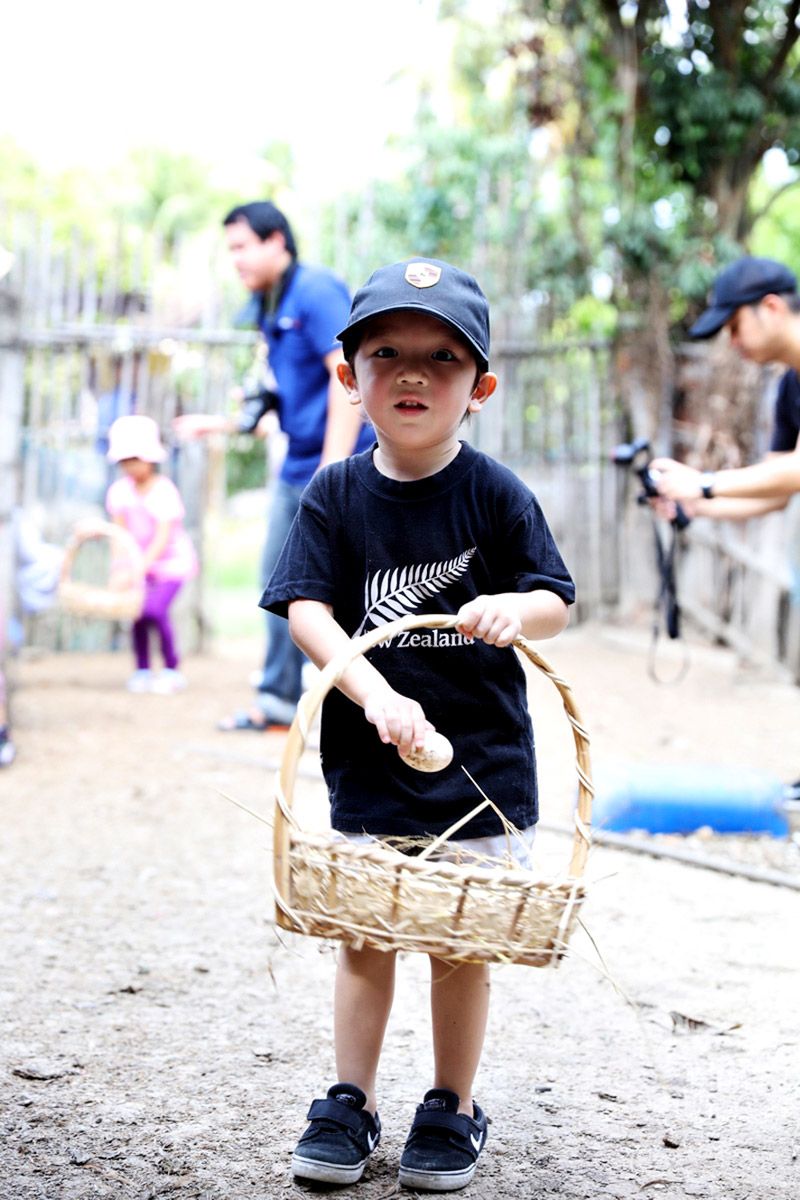 เก็บไข่ในเล้า 